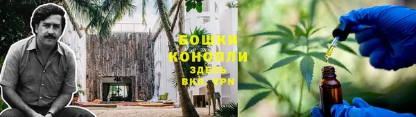 mix Богородицк