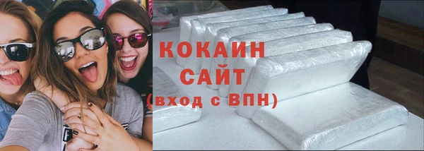 стафф Богданович