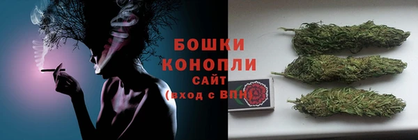 стафф Богданович