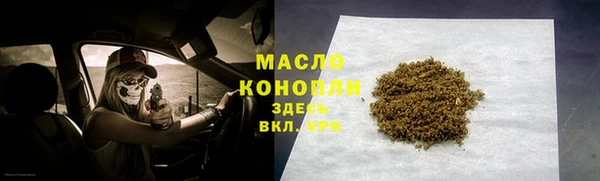 МДПВ Бородино