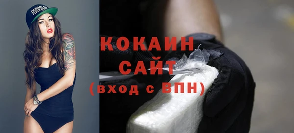 стафф Богданович