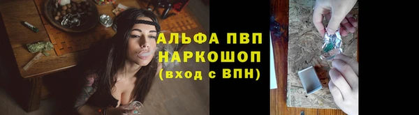 МДПВ Бородино