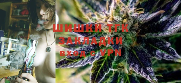 стафф Богданович