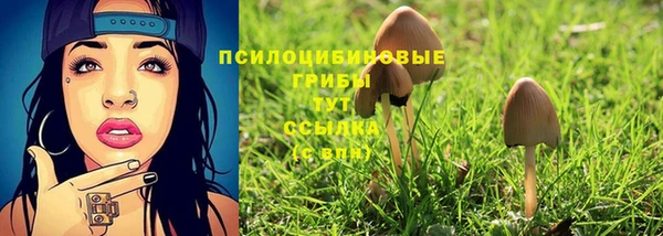 СК Бронницы