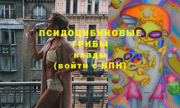 первитин Богородск