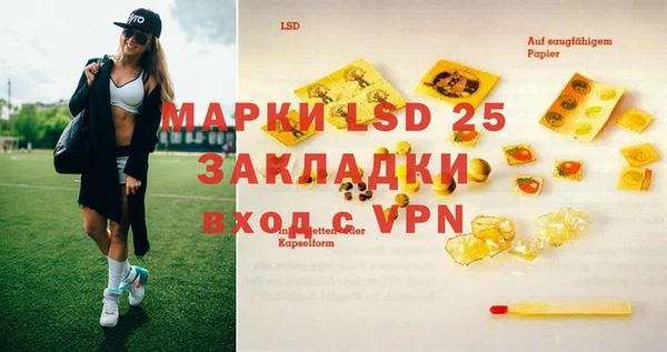 mix Богородицк