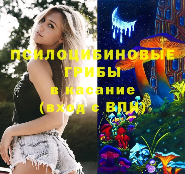 стафф Богданович